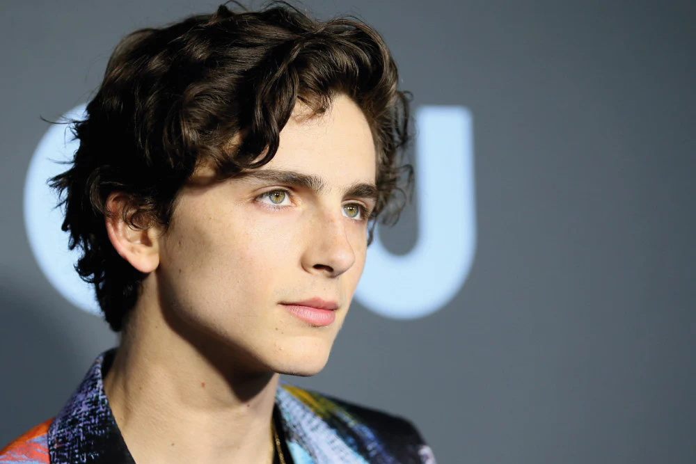 Timothee Chalamet