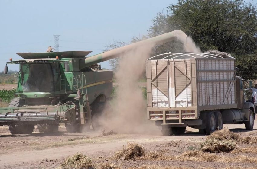  Productores advierten que el encarecimiento del combustible impacta fertilizantes, maquinaria para la cosecha y transporte