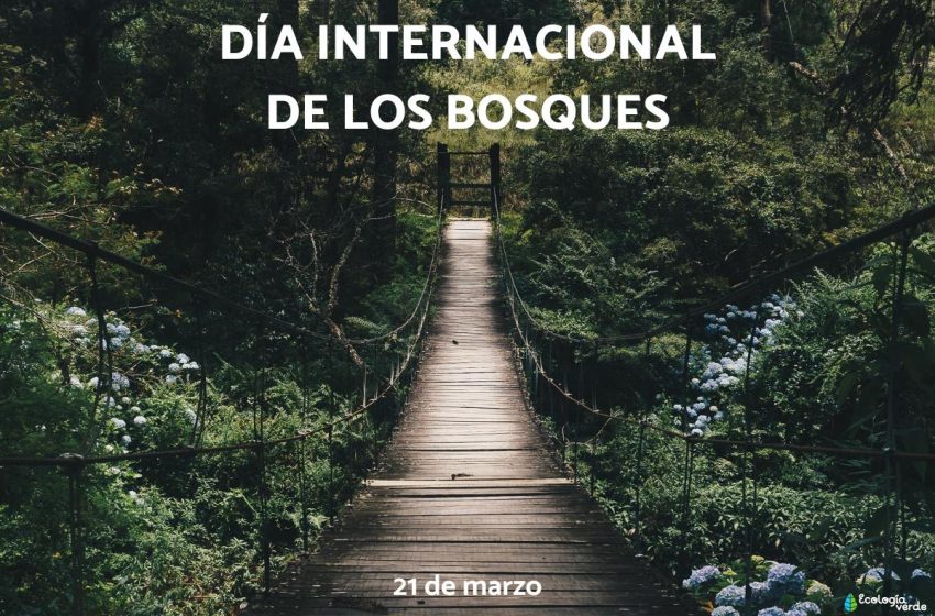 DiaBosques