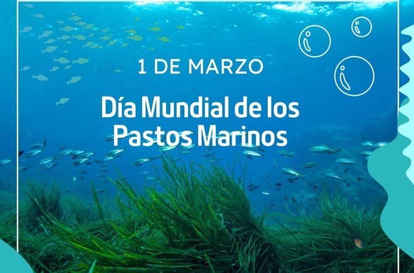 DiaPastosMar