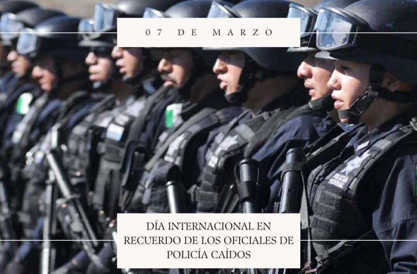 DiaPolsCaidos