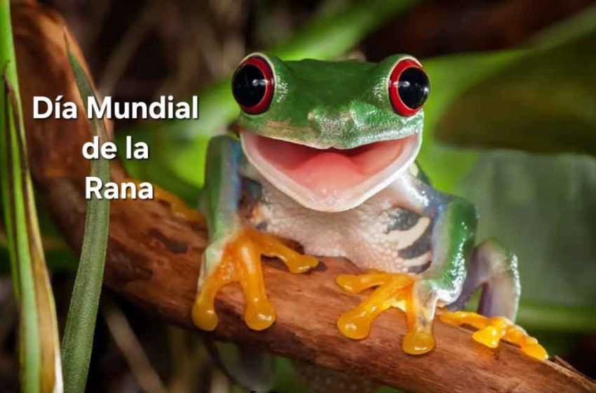 DiaRana