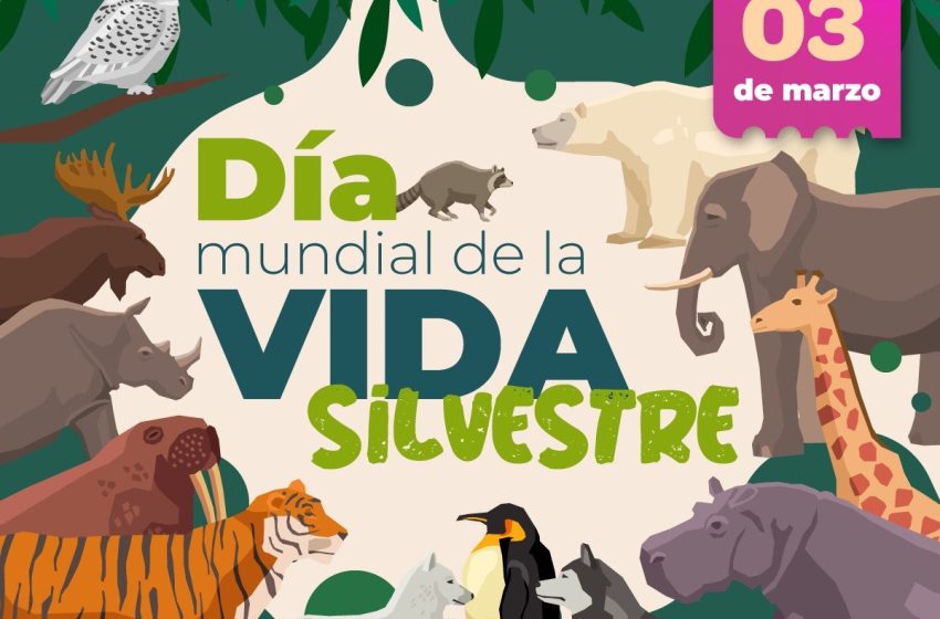  3 de marzo: Día Mundial de la Vida Silvestre