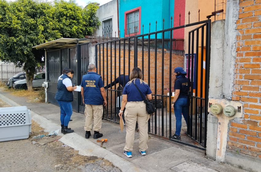  En cateo realizado en el fraccionamiento Villa Magna, rescata FGE a cinco ejemplares caninos víctimas de maltrato animal