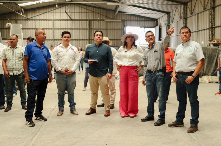  Fabiola Alanís visitó la zona de producción de arroz y mango en la tierra caliente