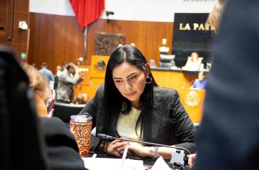  Araceli Saucedo Reyes respalda reforma histórica contra la discriminación por orientación sexual
