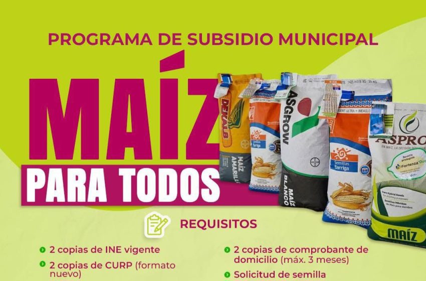  Gobierno de Zacapu impulsa el programa “Maíz para Todos” para fortalecer al campo