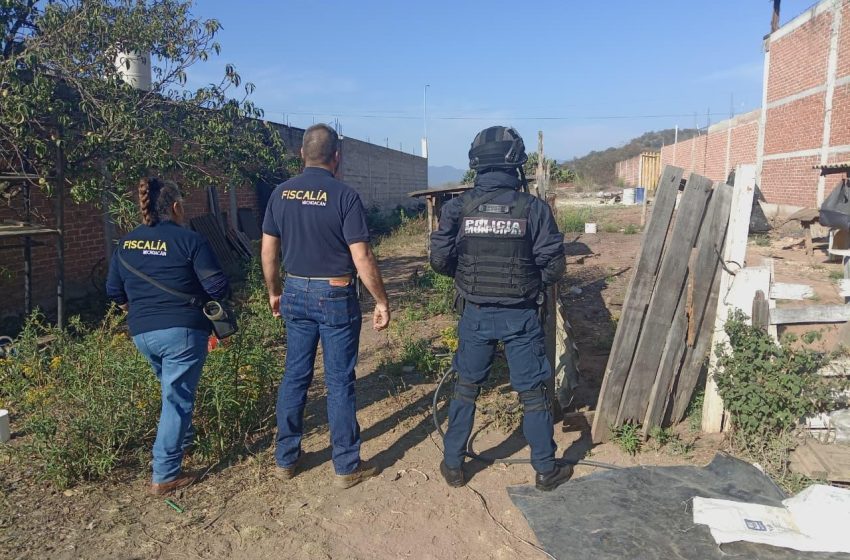  FGE rescata seis perros víctimas de maltrato animal en Hidalgo