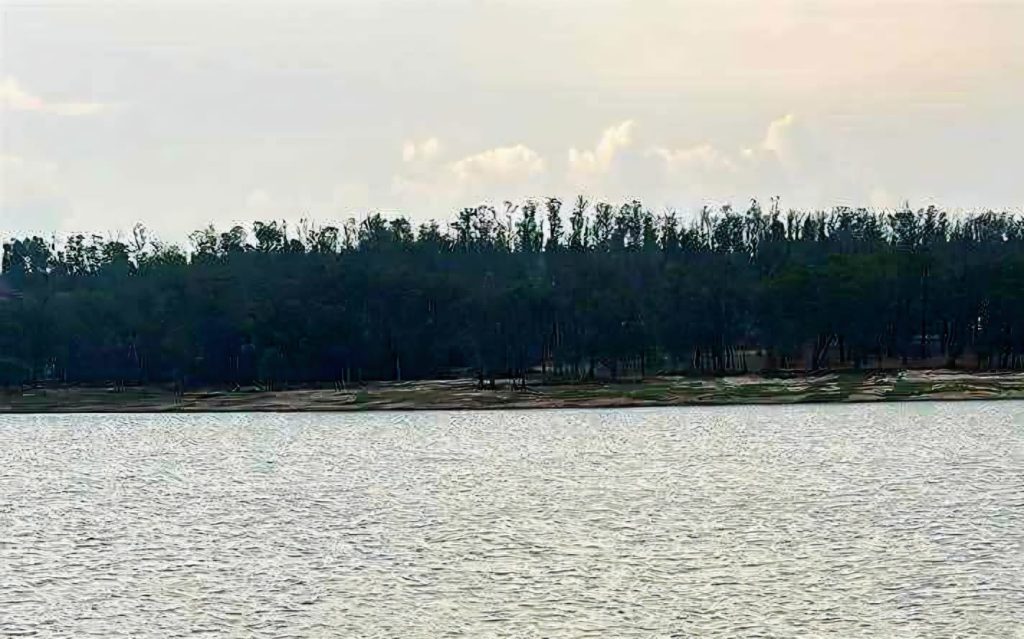 IMG 20260322 WA0033
