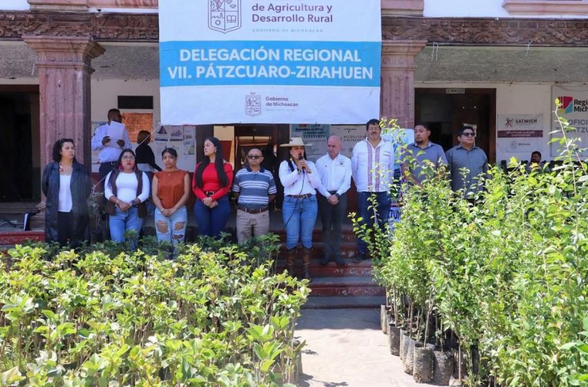  Impulsa Ayuntamiento de Quiroga la producción agrícola con entrega de árboles frutales