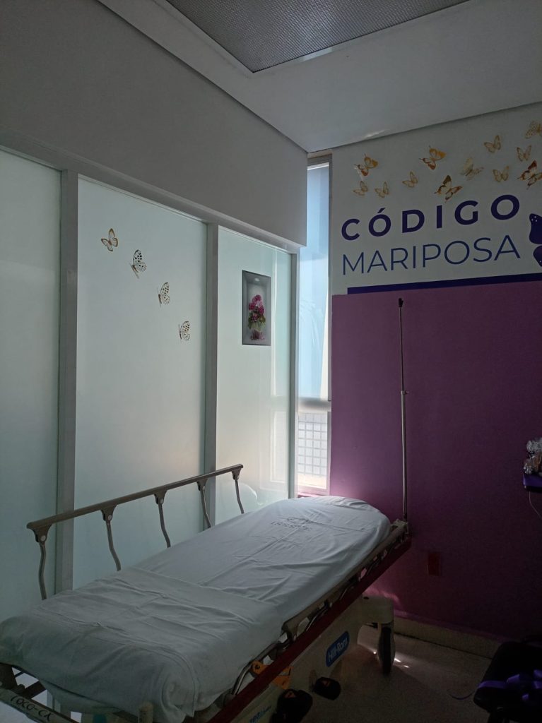 ISSS Codigo Mariposa2