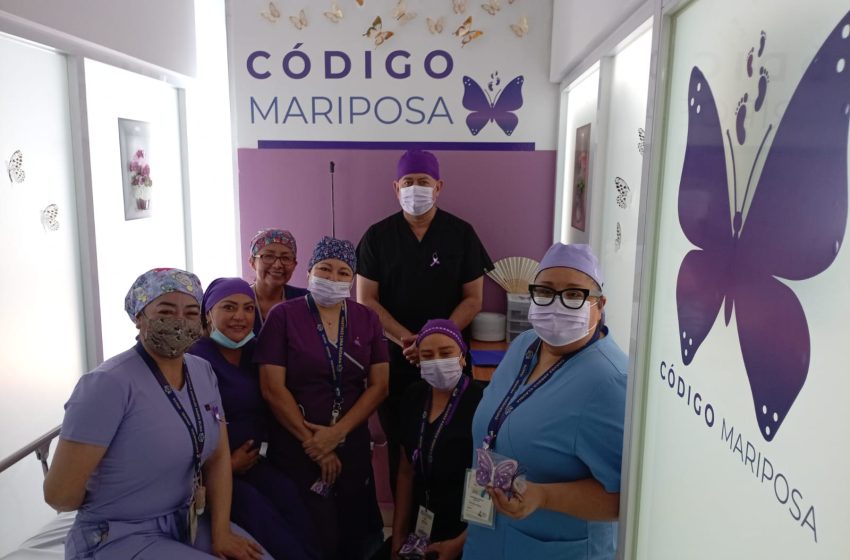 ISSS Codigo Mariposa3