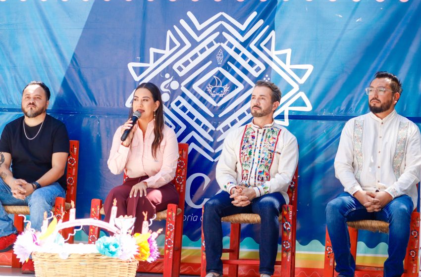 ZacFestivales1