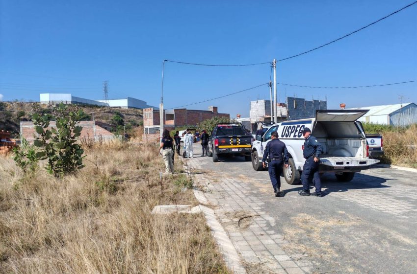  En marzo asesinaron a 12 mujeres en Michoacán; Morelia y Lázaro Cárdenas, con más casos