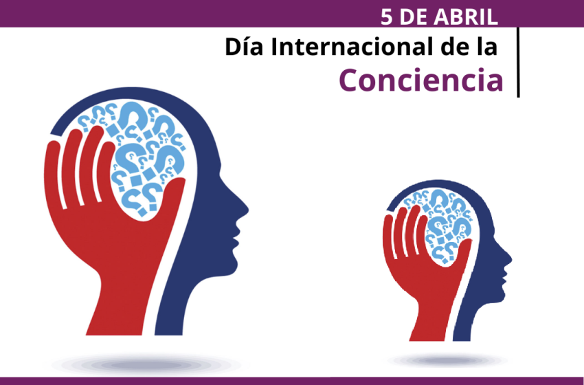 DiaConciencia