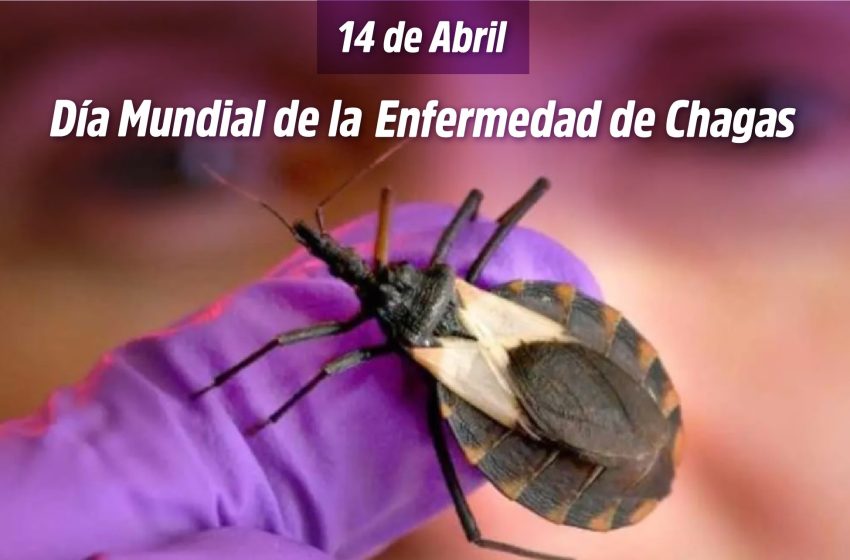 DiaEnfChagas