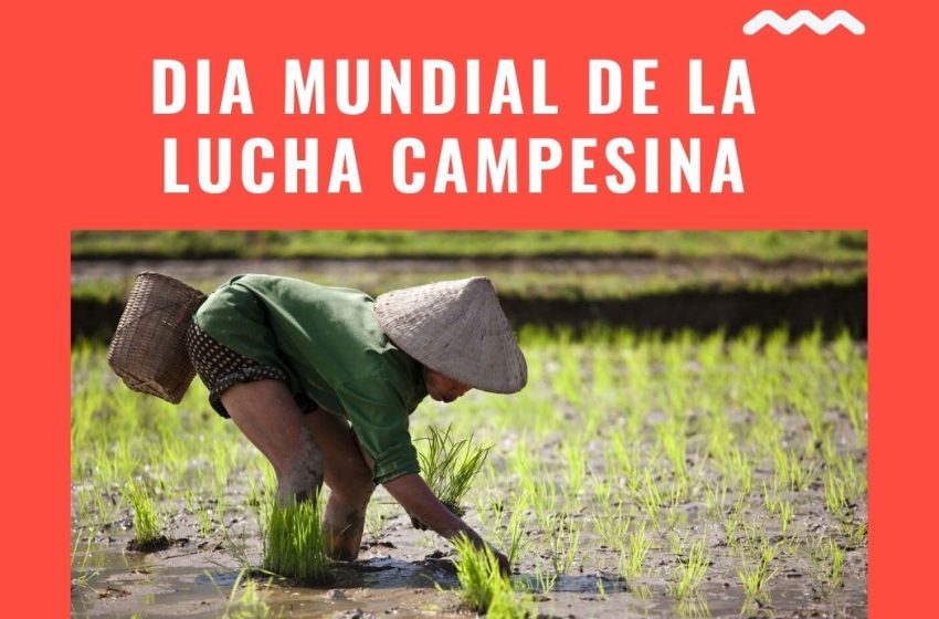  17 de abril: Día Mundial de la Lucha Campesina