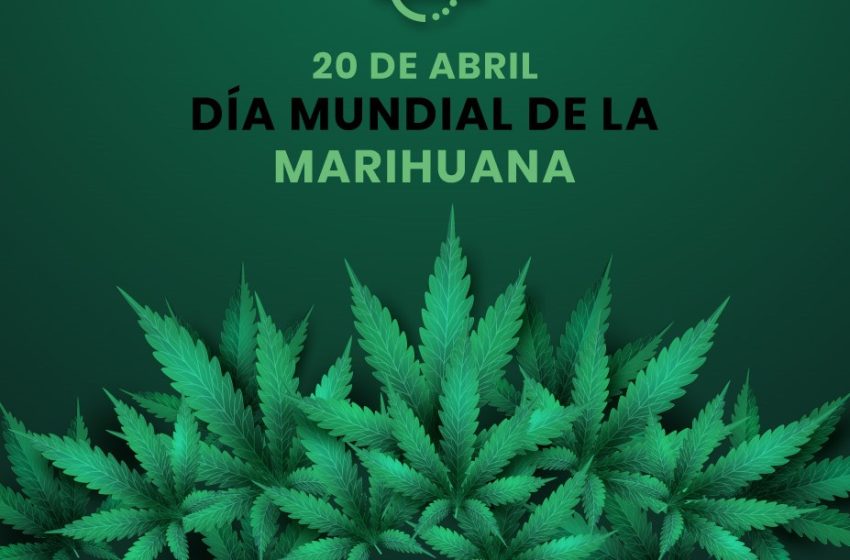  20 de abril: Día Mundial de la Marihuana