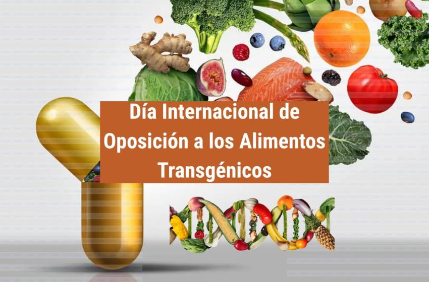 DiaOpoAlimTrans