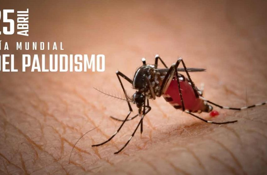 DiaPaludismo