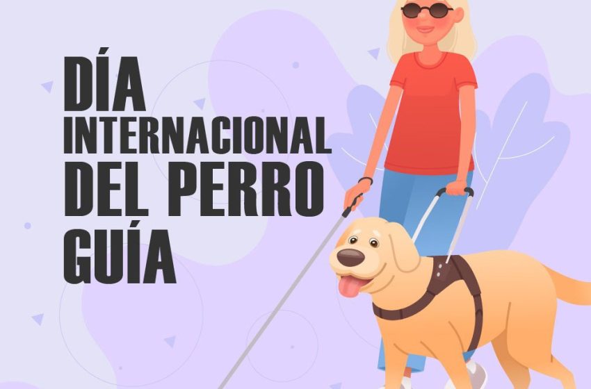 DiaPerroGuia
