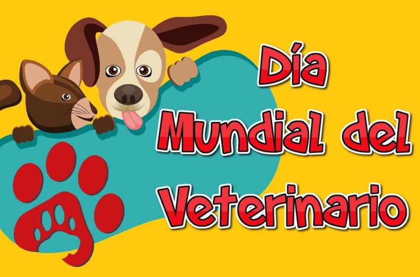 DiaVeterinario