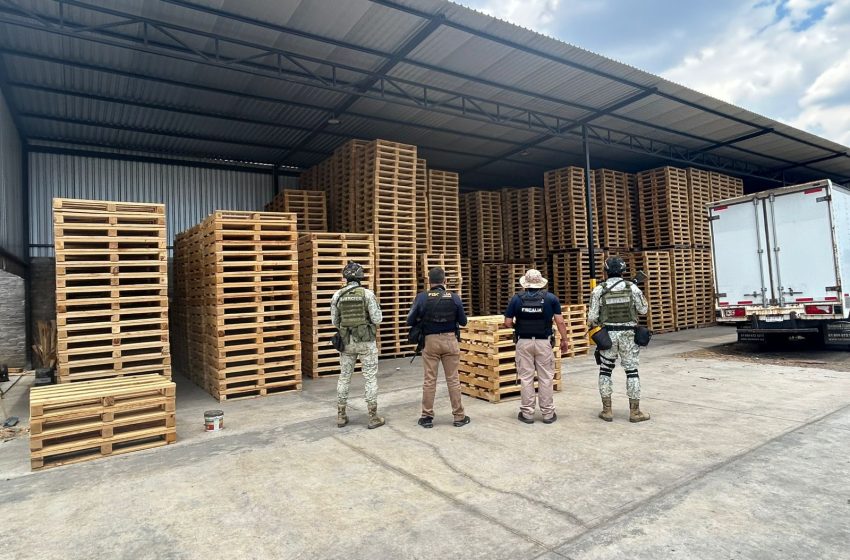  Asegura FGE madera procesada y maquinaria para su transformación