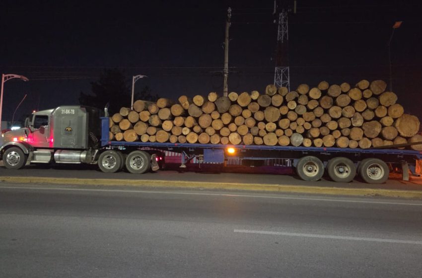 Detiene FGE a un hombre por transporte ilegal de madera en Morelia