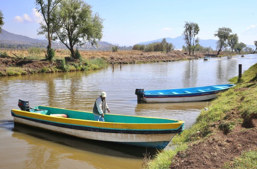  Hallazgo de tres nuevos manantiales consolidan rescate del lago de Pátzcuaro: Bedolla