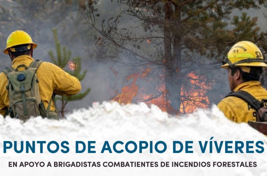  Gobierno de Morelia convoca a donar víveres para brigadistas forestales