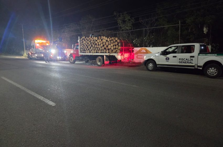  Asegura FGE vehículo y detiene a dos hombres por transporte ilegal de madera en Morelia