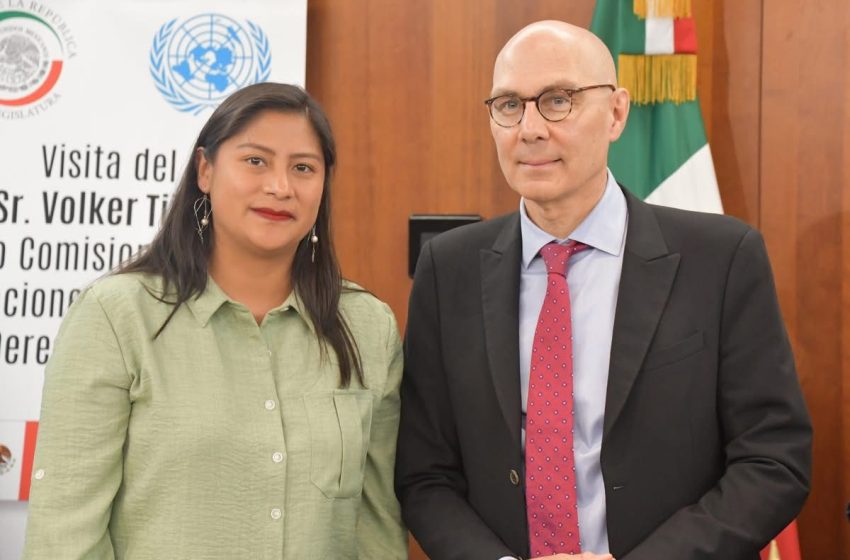  México transforma su realidad con apertura y humanismo: Celeste Ascencio