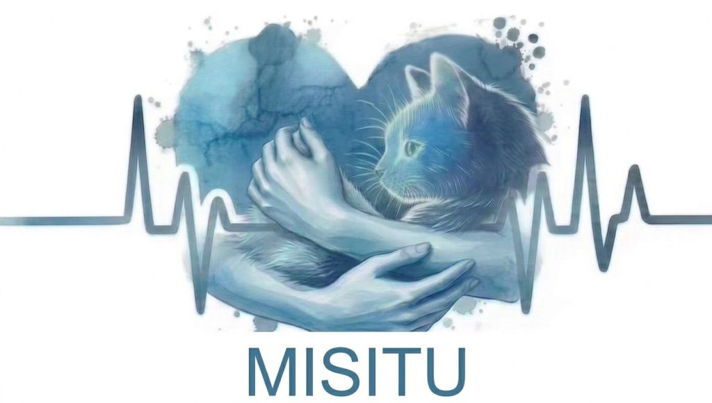 MascosMisitu1