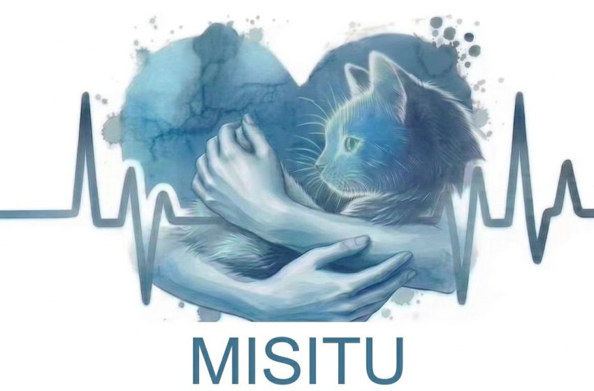 MascosMisitu1