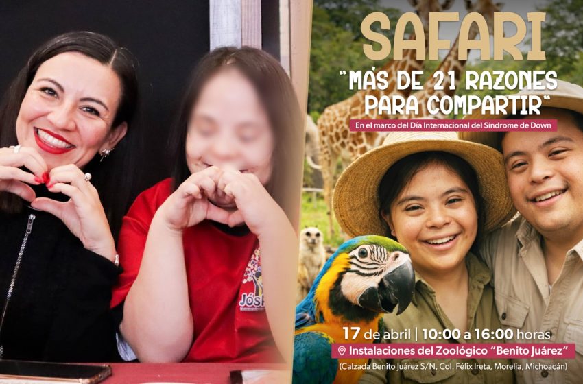 SEDE DownZoo