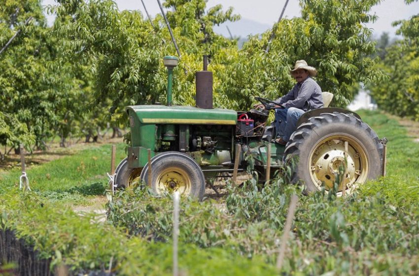  Se registra peor saldo comercial agroalimentario al primer bimestre en una década