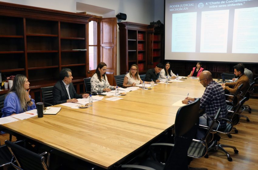  Da continuidad Poder Judicial de Michoacán a acciones en favor de grupos en situación de vulnerabilidad
