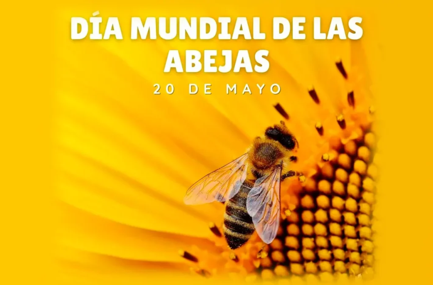  20 de mayo: Día Mundial de las Abejas