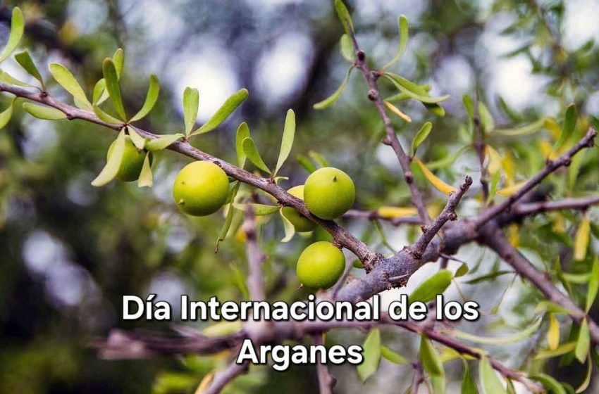 DiaArganes