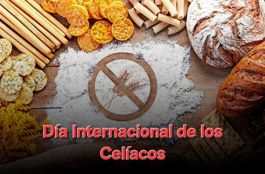  16 de mayo: Día Internacional de los Celíacos