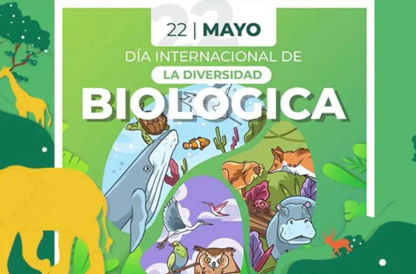 DiaDiverBiol