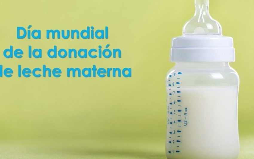  19 de mayo: Día Mundial de la Donación de Leche Materna