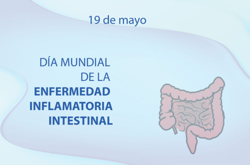  19 de mayo: Día Mundial de la Enfermedad Inflamatoria Intestinal