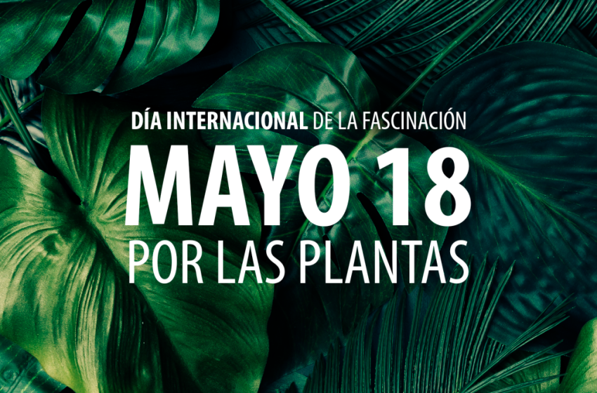  18 de mayo: Día Internacional de la Fascinación por las Plantas