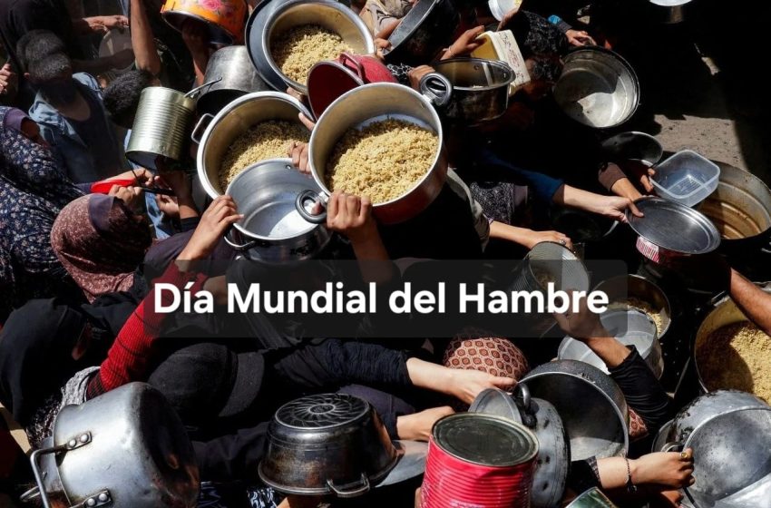  28 de mayo: Día Mundial del Hambre