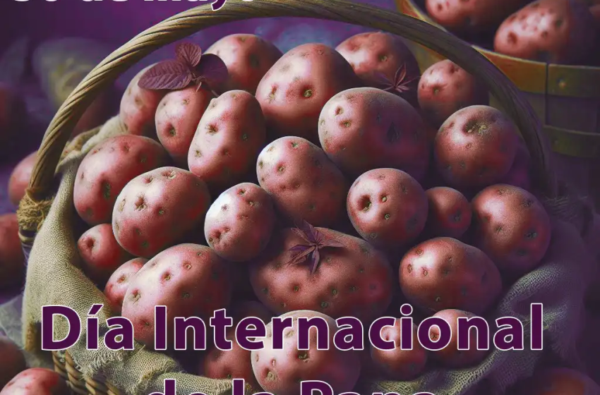  30 de mayo: Día Internacional de la Papa