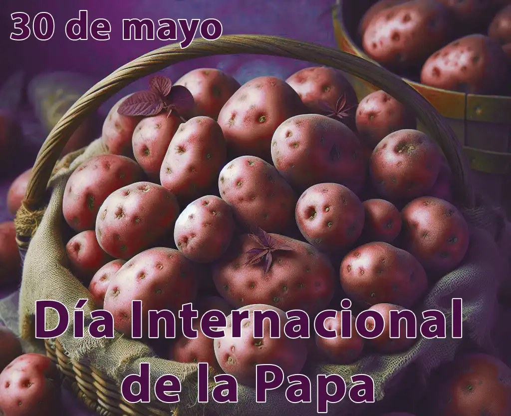 DiaPapa