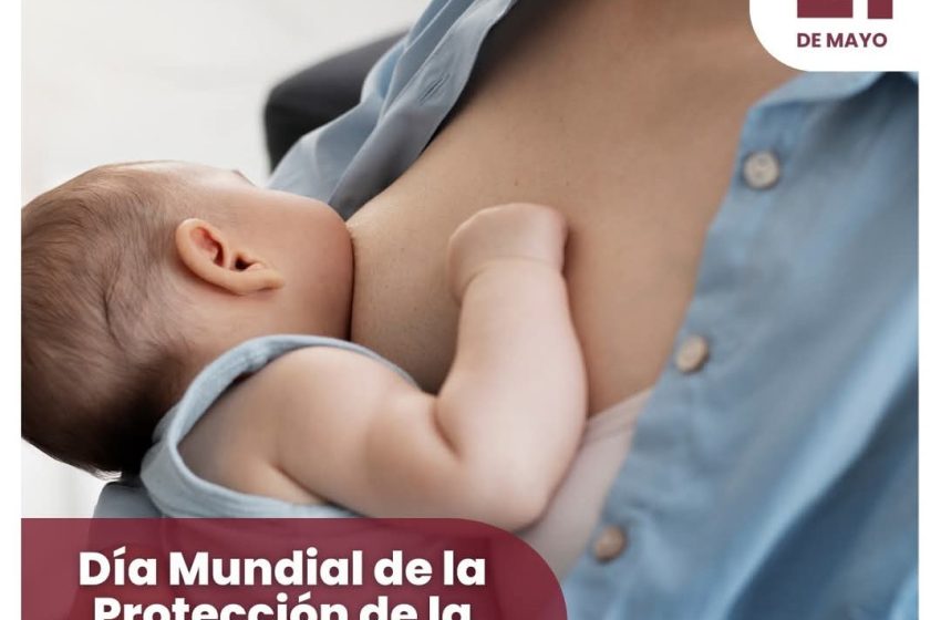  21 de mayo: Día Mundial de Protección de la Lactancia Materna