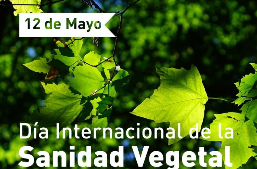 DiaSanidadVeg