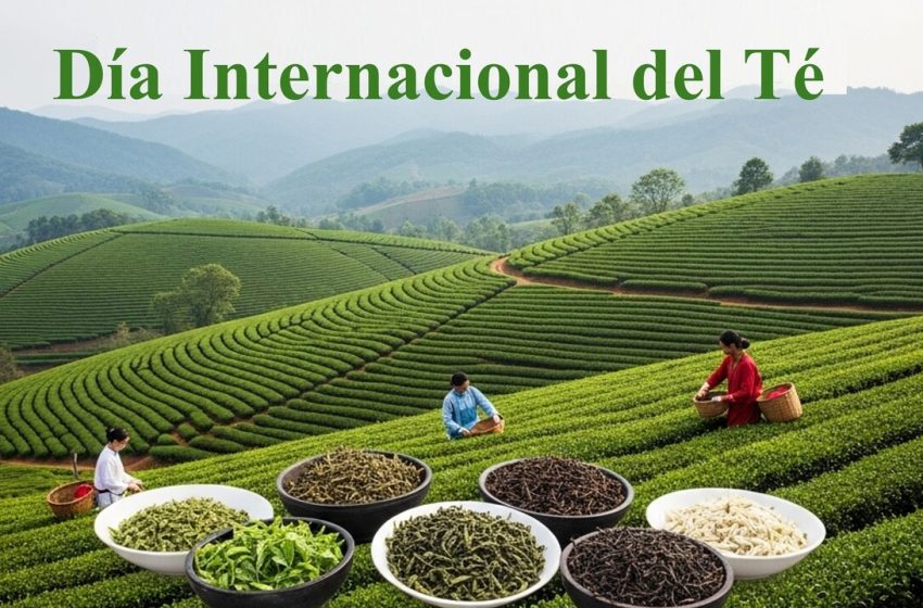  21 de mayo: Día Internacional del Té